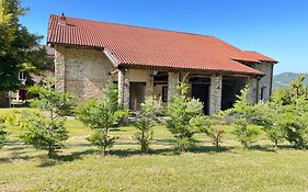 Tenuta San Lorenzo