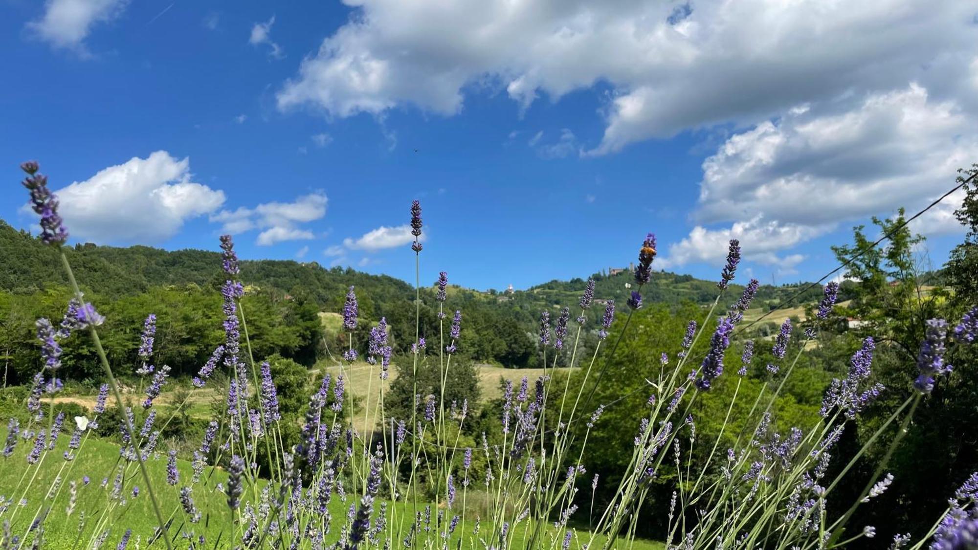 Tenuta San Lorenzo Melazzo Esterno foto